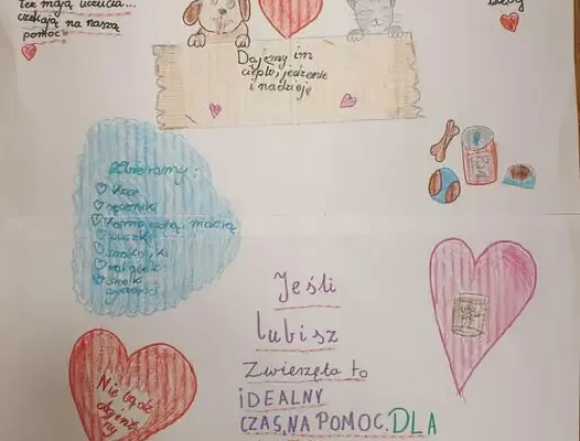 Zbiórka dla zwierząt w Gliwicach – SP 11 „Pomocne Serca” zaprasza do wsparcia schroniska