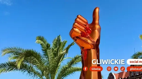 Gliwice: warsztaty o przyszłości łąk nad Ostropką – mieszkańcy zdecydują o zagospodarowaniu terenu
