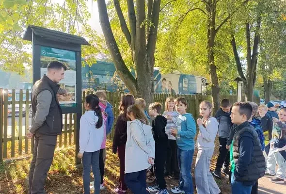 Uczniowie z Gliwic odkrywali tajemnice lasu w Nadleśnictwie Brynek
