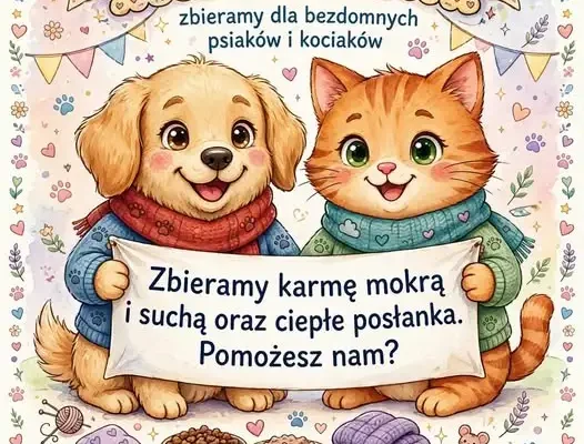 Akcja „Jedzonko dla bezdomniaka” w Knurówie – zbiórka dla schroniska