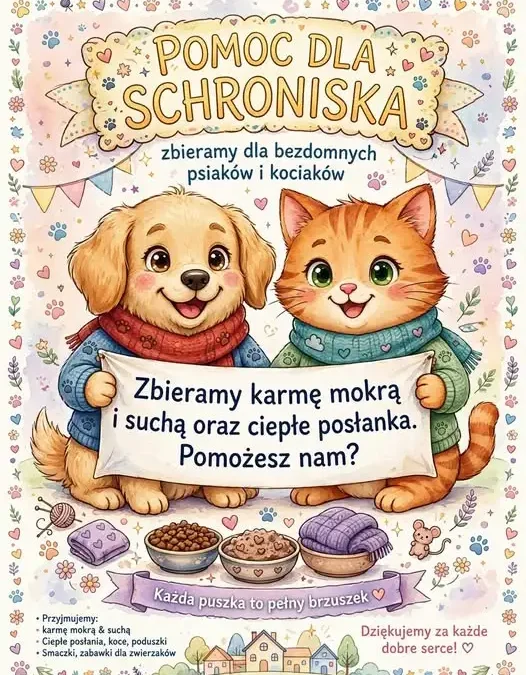 Akcja „Jedzonko dla bezdomniaka” w Knurówie – zbiórka dla schroniska