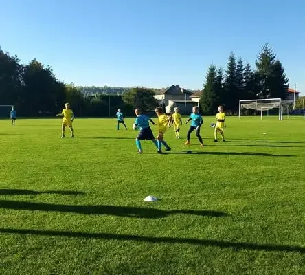 Orlicy z Gierałtowic na turnieju: zwycięstwo 6:1 i dwie porażki