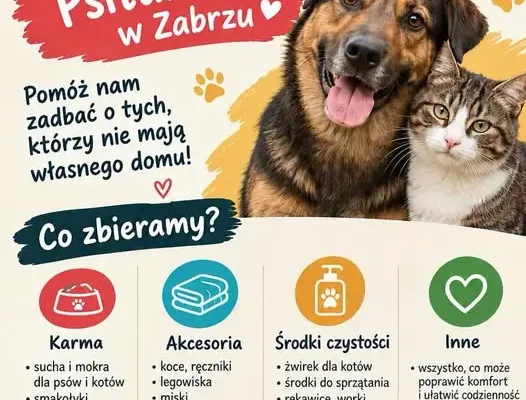 Przedszkolaki z Gliwic odwiedzą schronisko dla zwierząt w Zabrzu