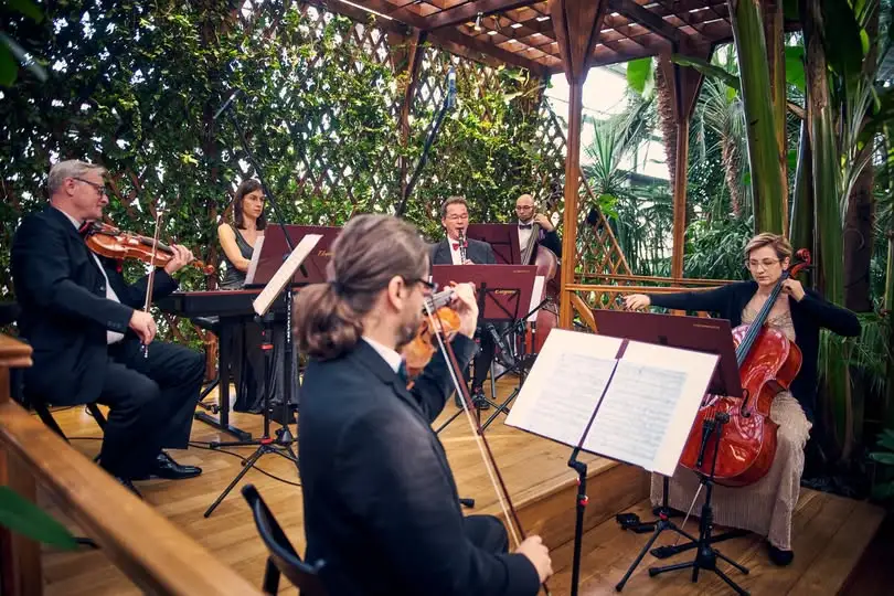 Gliwickie tropiki z muzyką na żywo – finał Otwartego Salonu Muzycznego