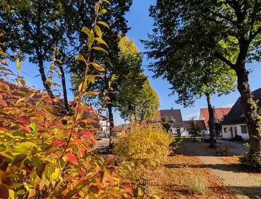 Pyskowice stawiają na zieleń: sześć parków kieszonkowych w planach