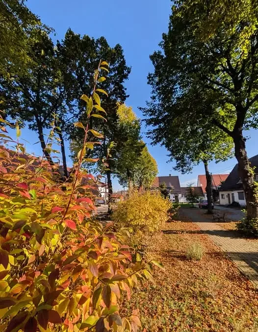 Pyskowice stawiają na zieleń: sześć parków kieszonkowych w planach