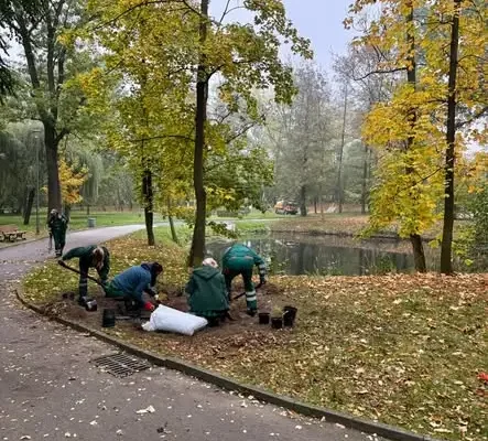 Park Szwajcaria w Gliwicach zyska ponad 300 nowych krzewów