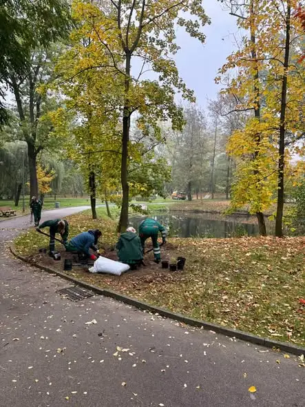 Park Szwajcaria w Gliwicach zyska ponad 300 nowych krzewów