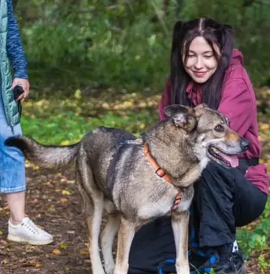 Bieg na 6 Łap w Gliwicach – kolejna edycja już 31 października