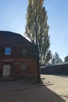 Ósmoklasiści z Gliwic w Auschwitz-Birkenau – lekcja, która zostaje na całe życie