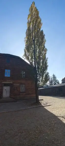 Ósmoklasiści z Gliwic w Auschwitz-Birkenau – lekcja, która zostaje na całe życie