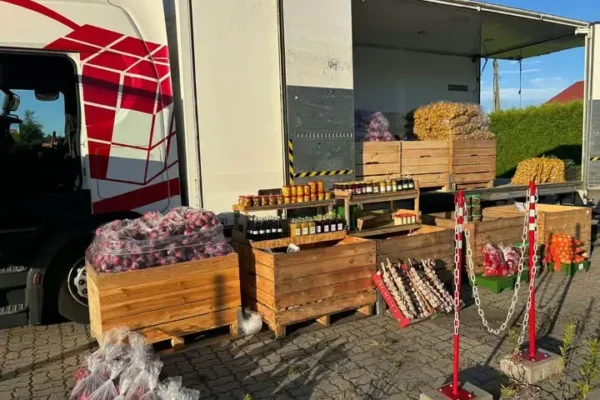 Knurów: sadownik zmienia plany – wraca w czwartek, nie w środę